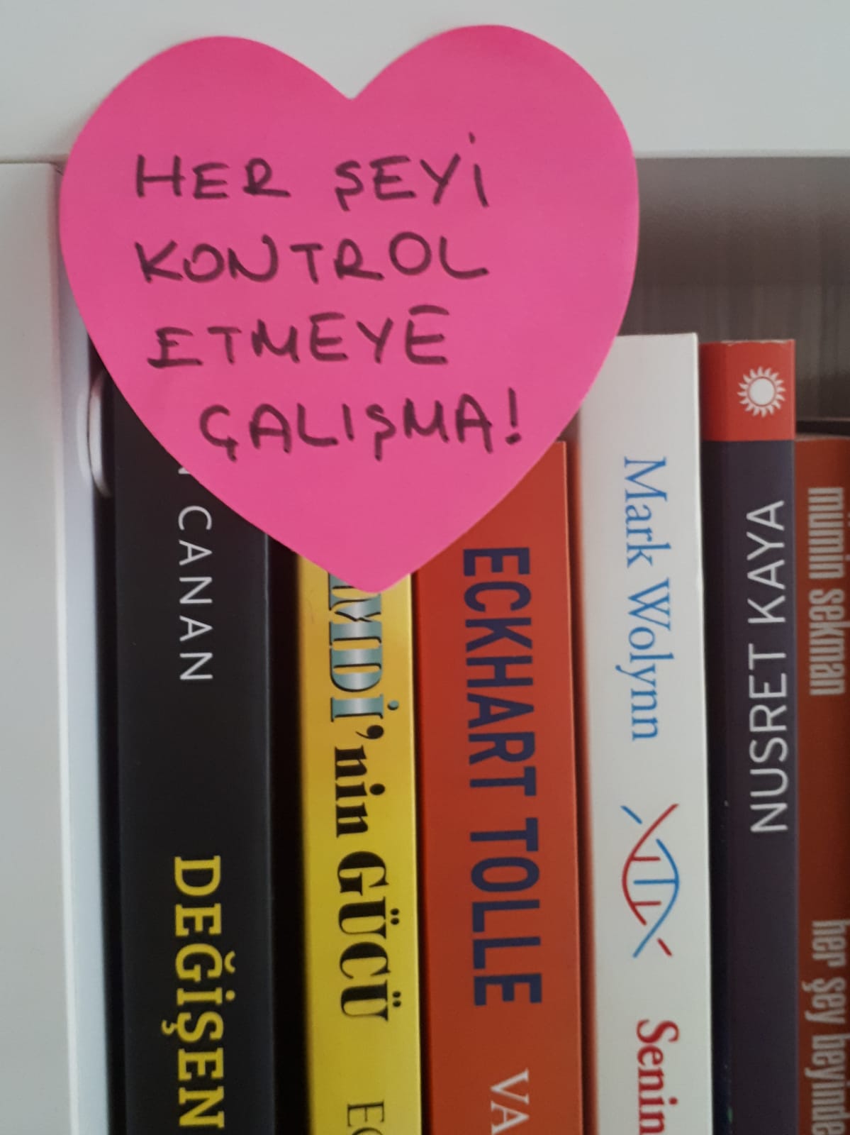 HER ŞEYİ KONTROL ETMEYE ÇALIŞMA