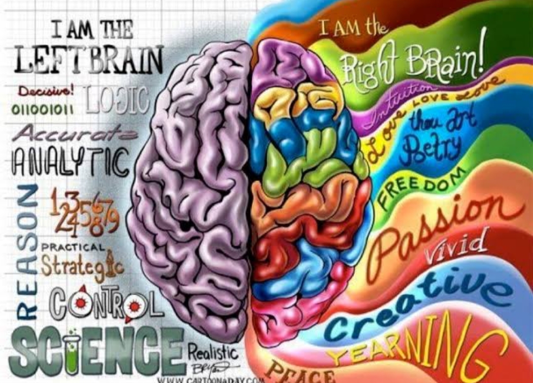 BEYNİNİZİN HANGİ YANINI KULLANIYORSUNUZ ?